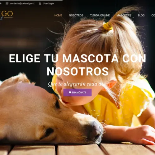 diseño web pet&go