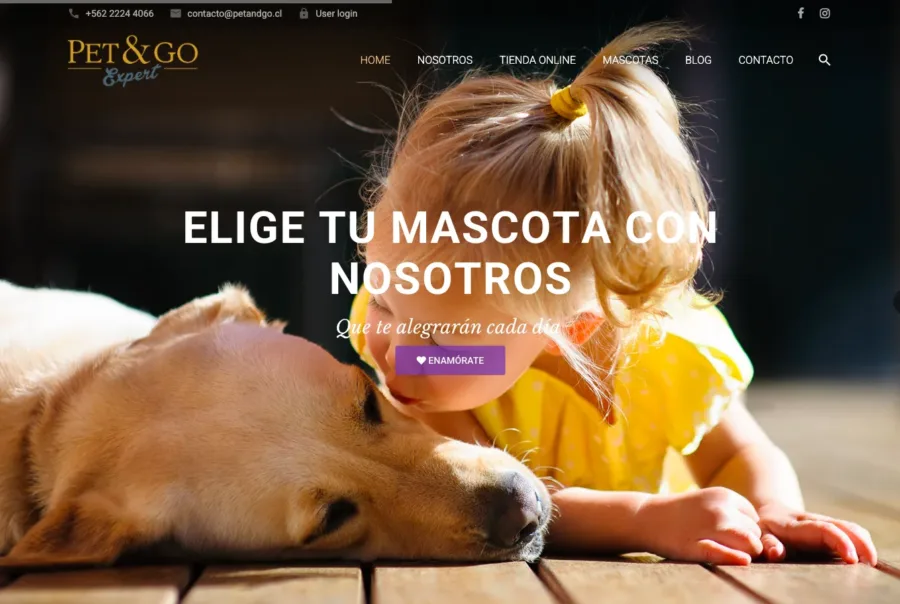diseño web pet&go